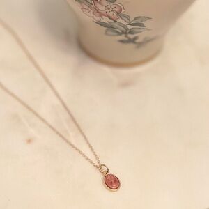Elegant Pink Pendant Necklace w/a Small Cameo (NWOT) - 10.5”L